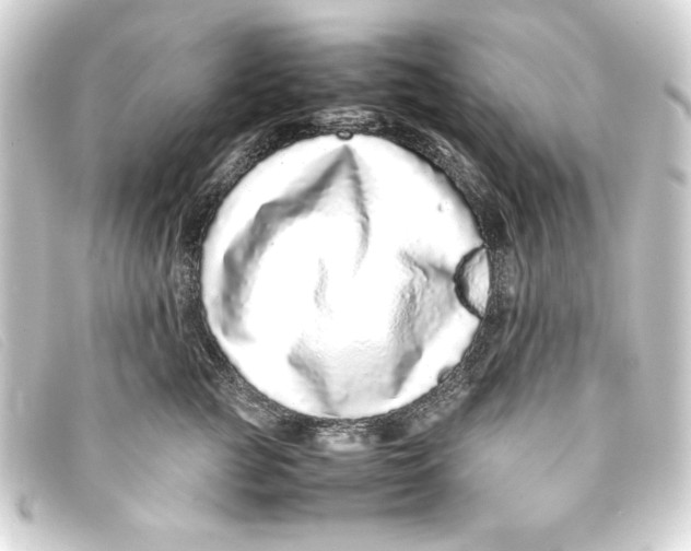 X0000093160761200710241020