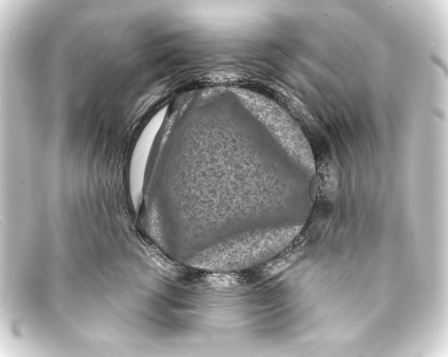 X0000093160762200710241020