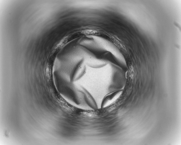 X0000093160763200710241020
