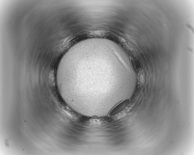X0000093160764200710241020