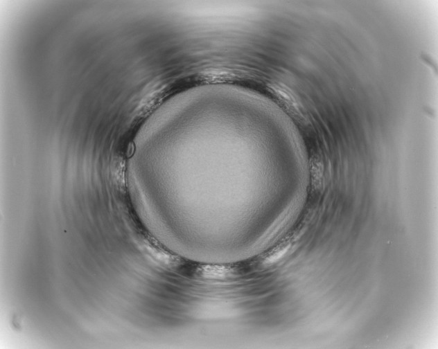 X0000093160766200710241020