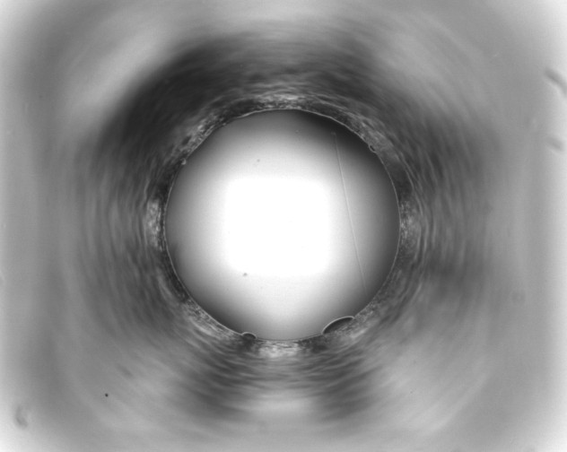 X0000093160767200710241020