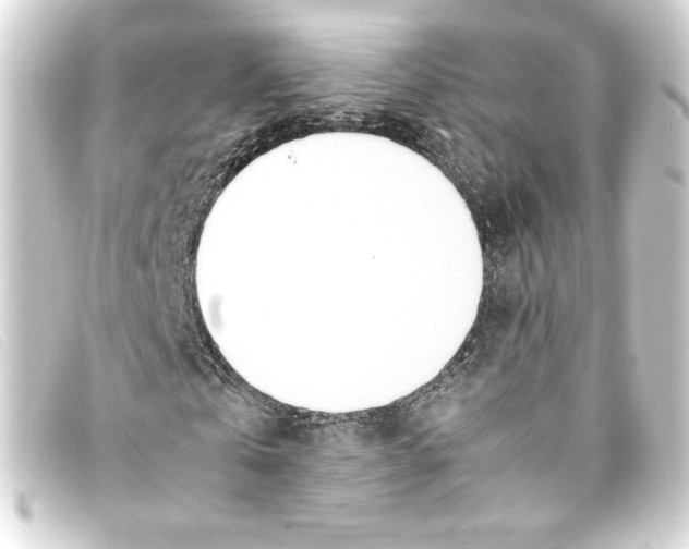 X0000093160769200710241019