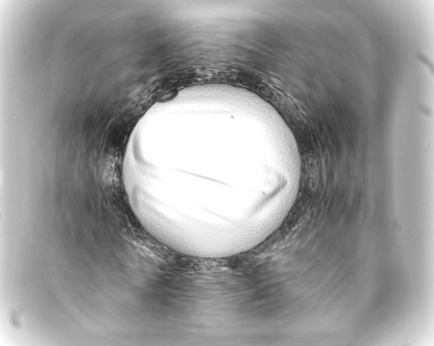 X0000093160770200710241019
