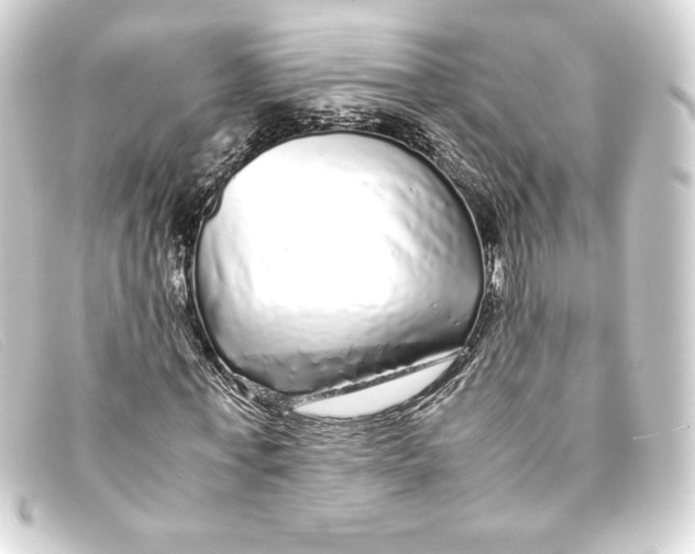X0000093160771200710241019