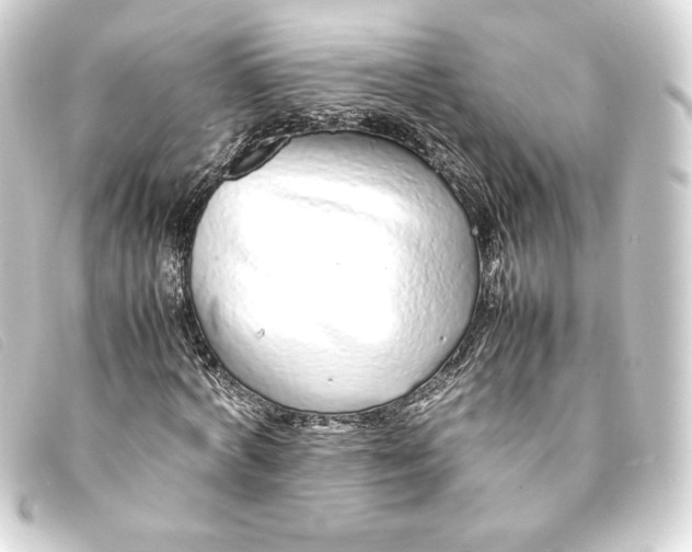 X0000093160772200710241019