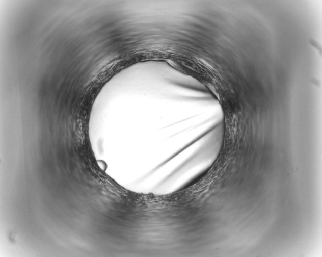 X0000093160774200710241019