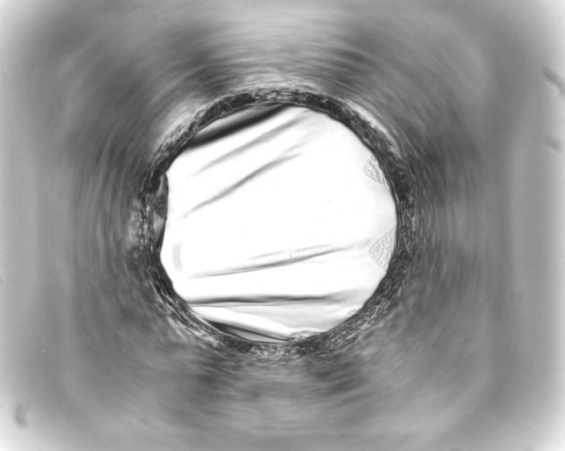 X0000093160775200710241019