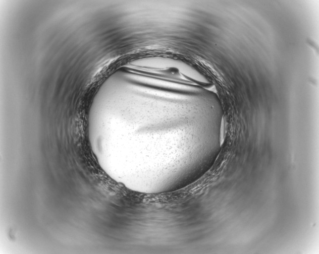 X0000093160776200710241019
