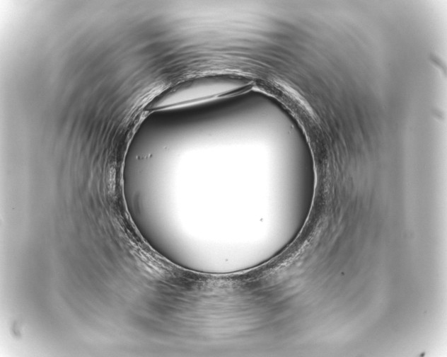 X0000093160777200710241019