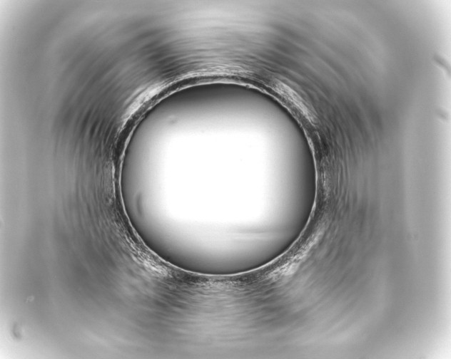 X0000093160781200710241019