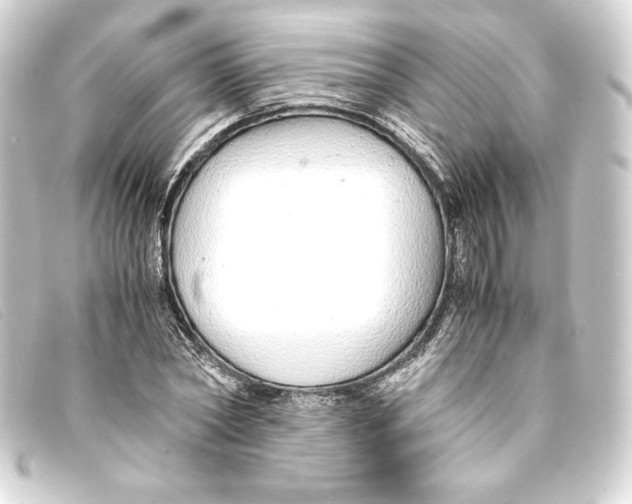 X0000093160782200710241019