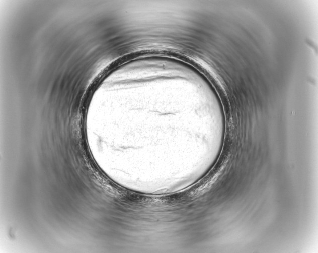 X0000093160783200710241019