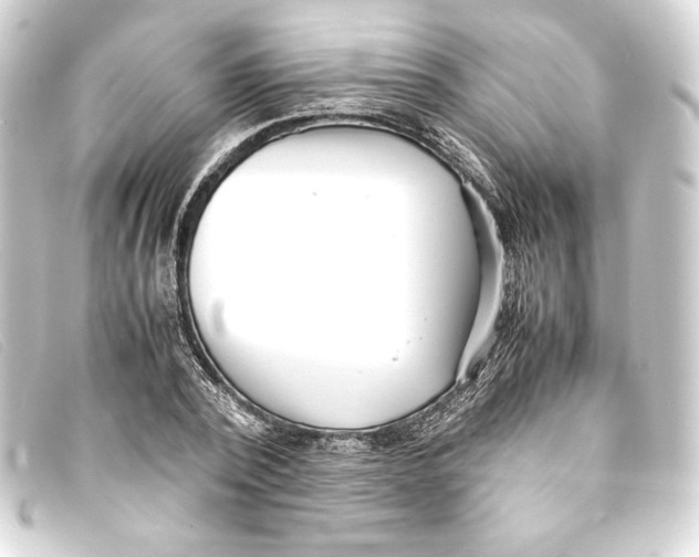 X0000093160784200710241019