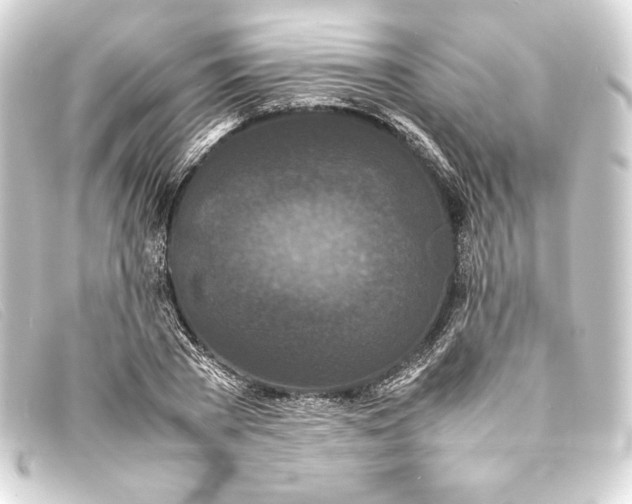 X0000093160785200710241019