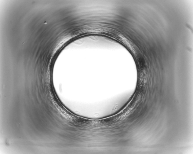 X0000093160787200710241019