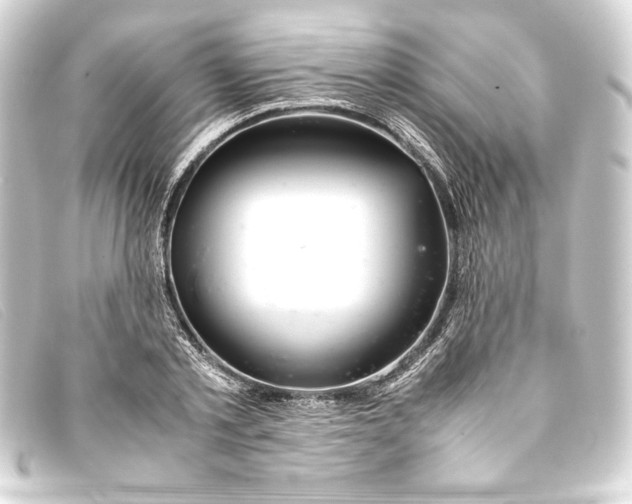 X0000093160789200710241019