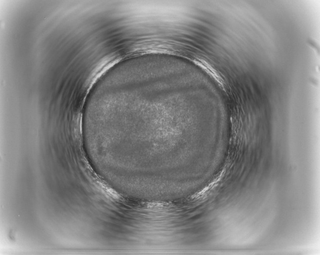 X0000093160790200710241019