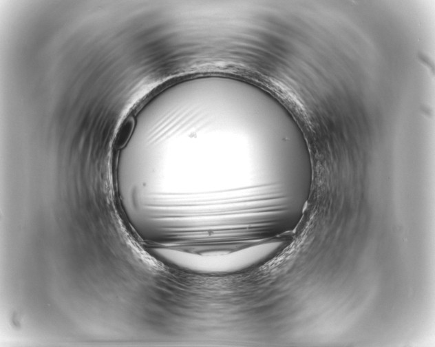 X0000093160792200710241019