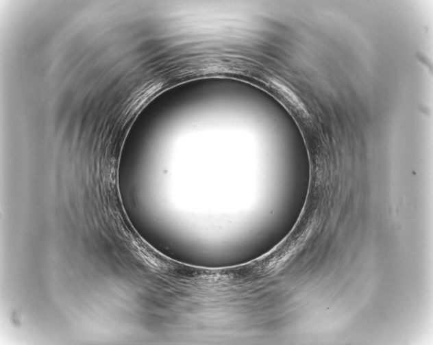 X0000093160793200710241019