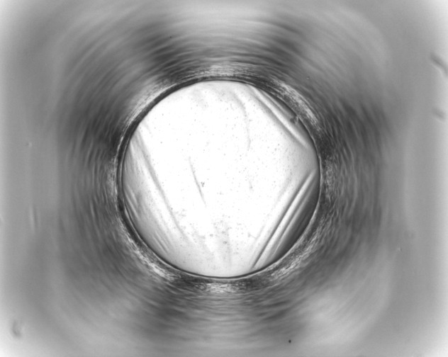 X0000093160794200710241019