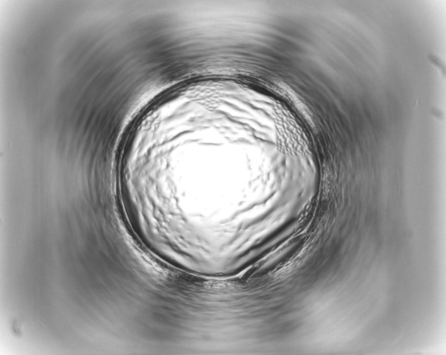X0000093160795200710241019