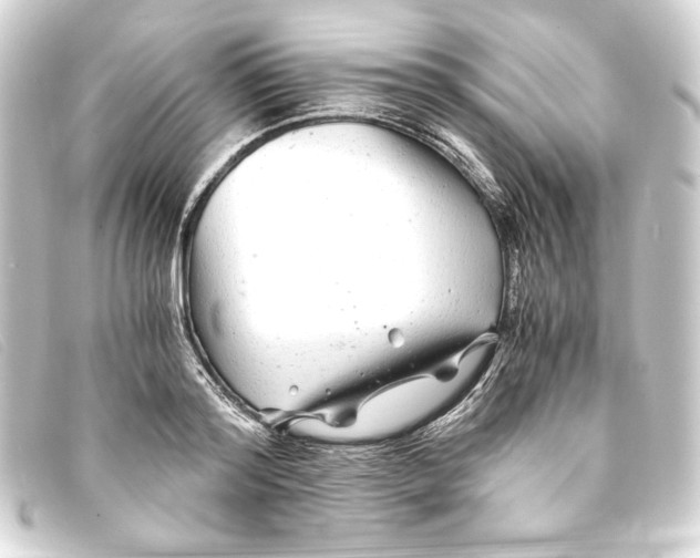 X0000093160796200710241019