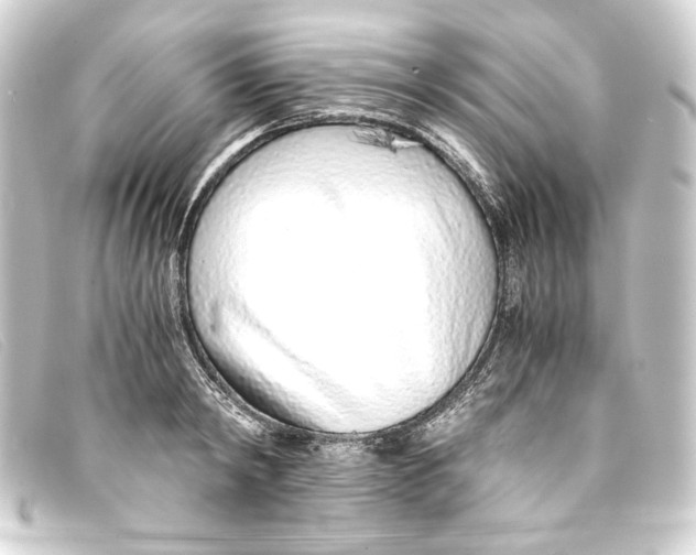 X0000093160798200710241019