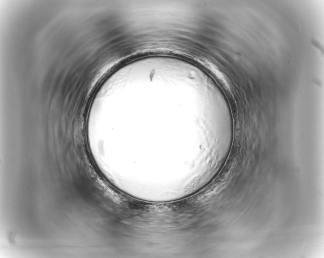 X0000093160799200710241019