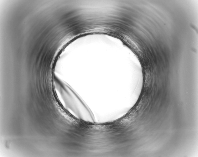 X0000093160800200710241019