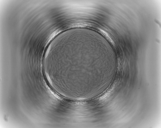 X0000093160802200710241019