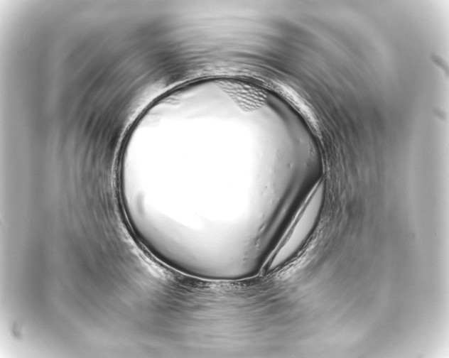 X0000093160803200710241019