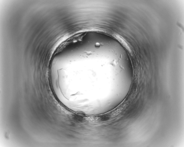 X0000093160805200710241019