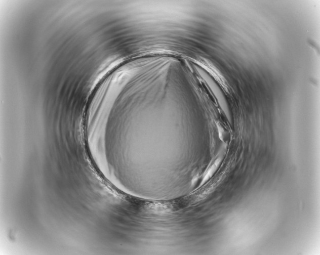 X0000093160806200710241019