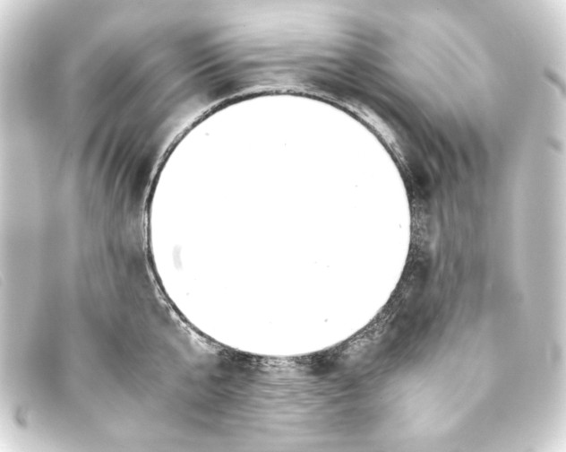 X0000093160807200710241019