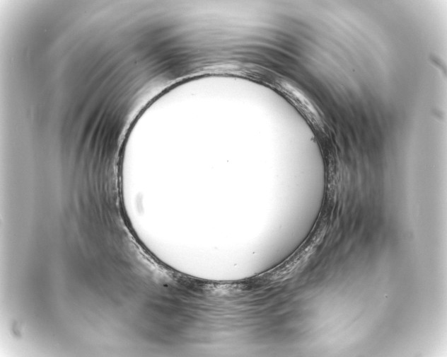X0000093160808200710241019