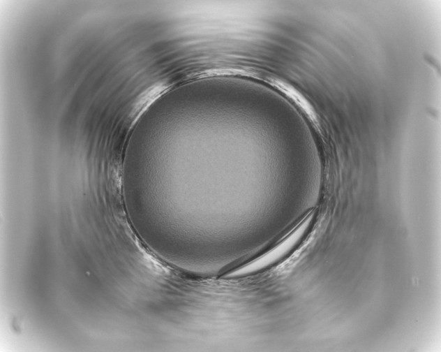 X0000093160809200710241019