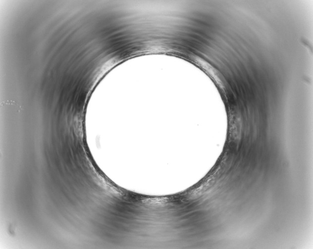 X0000093160810200710241019