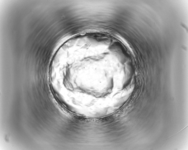 X0000093160811200710241019