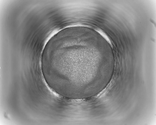 X0000093160813200710241019