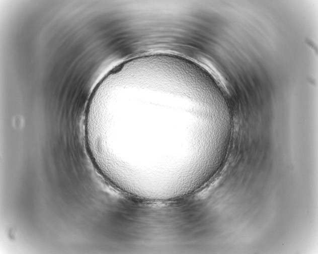 X0000093160814200710241019