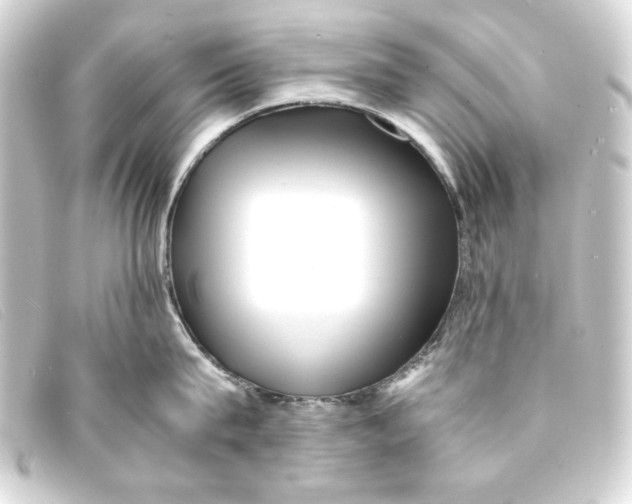 X0000093160815200710241019