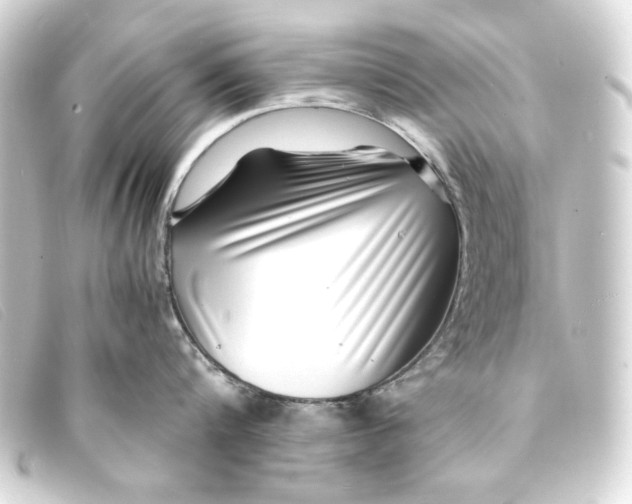 X0000093160816200710241019