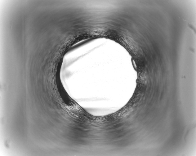 X0000093160817200710241018