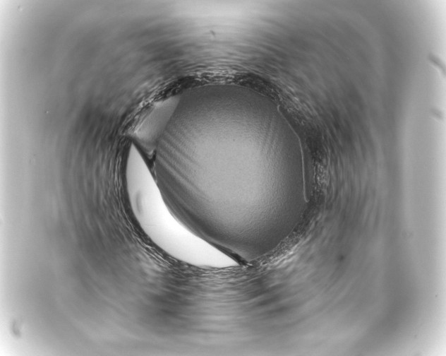X0000093160818200710241018