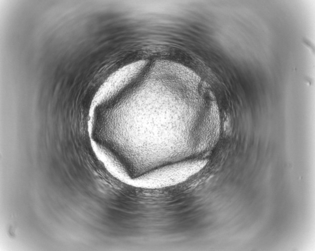 X0000093160819200710241018