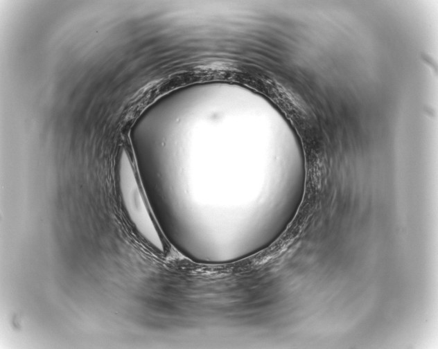 X0000093160821200710241018