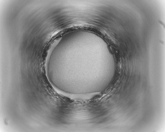 X0000093160822200710241018