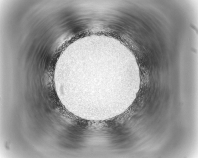 X0000093160824200710241018