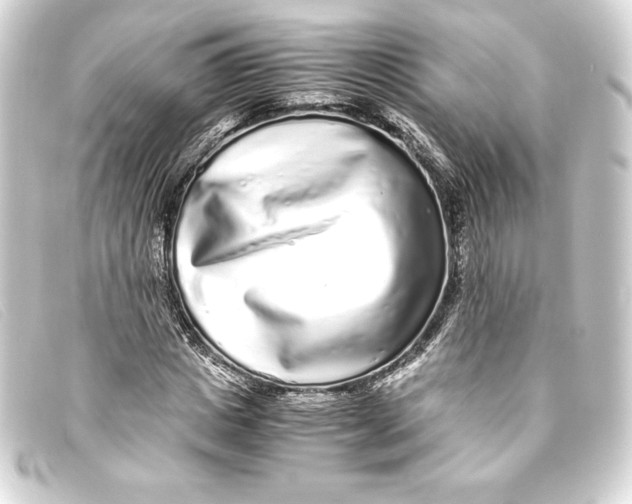 X0000093160825200710241018